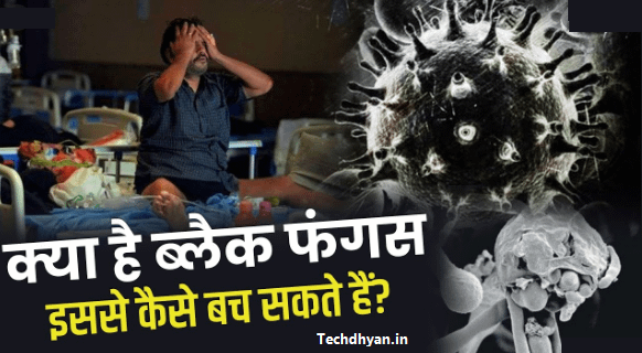 Black Fungus Kya Hai