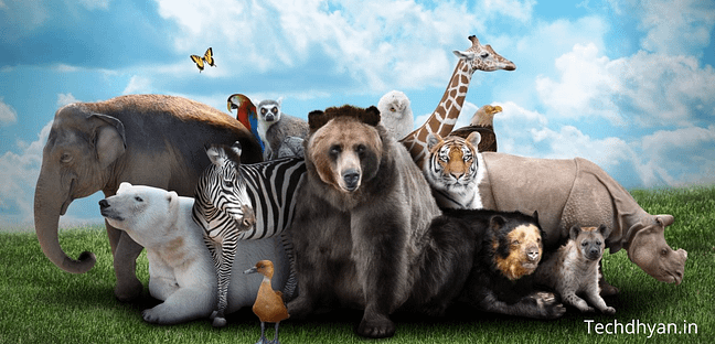 Amazing Facts about animals in hindi जानवरों के रोचक तथ्य Facts Amazing Facts In Hindi about animals Interesting facts about animals in hindi